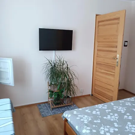 W Centrum Mikolajek