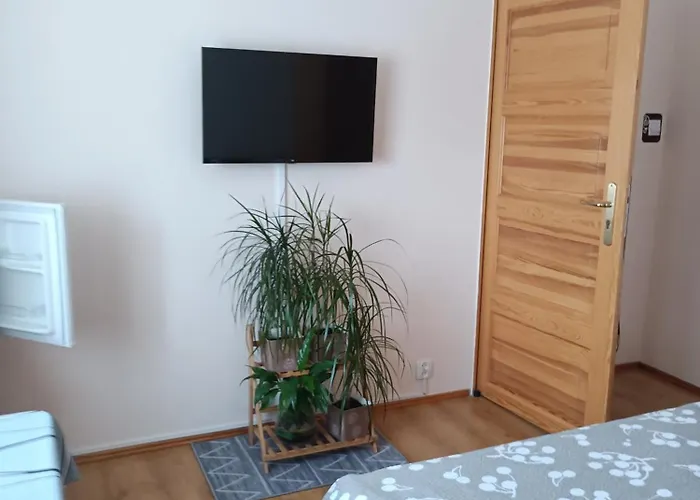 W Centrum Mikołajek